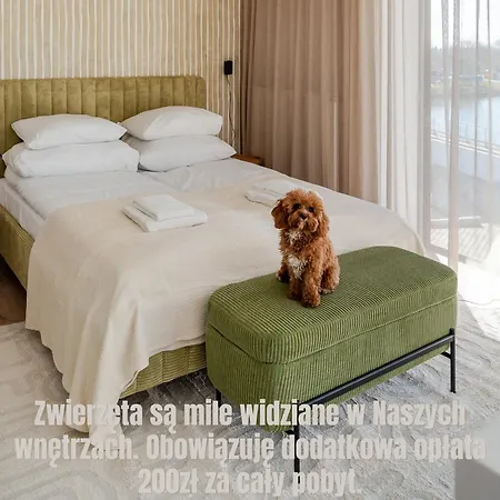 Fish Surfingbird Shellter * ロゴボ