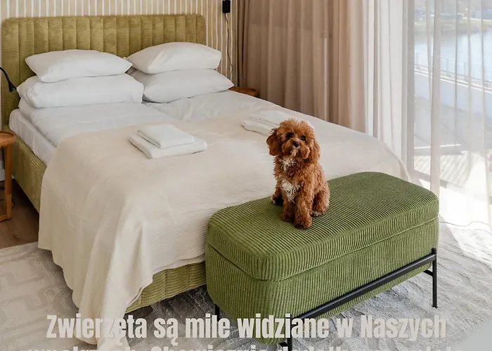 Fish Surfingbird Shellter * Rogowo (Gryfice)